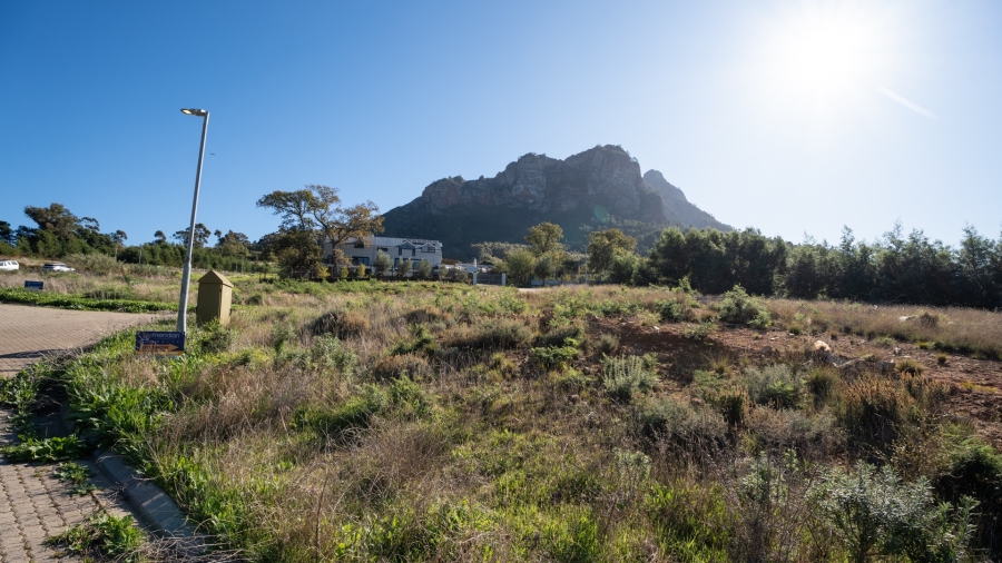 0 Bedroom Property for Sale in Johannesdal Western Cape